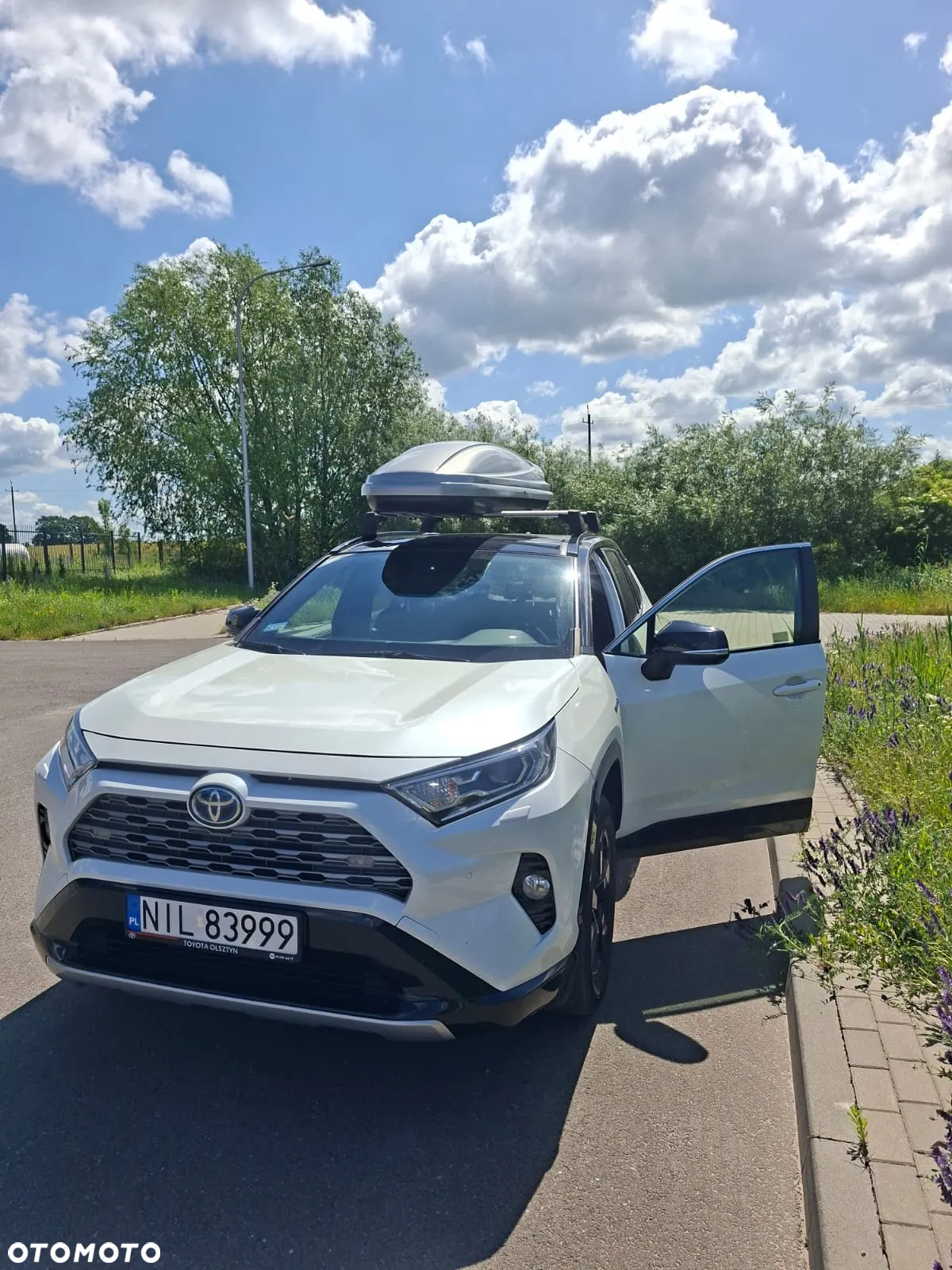 Toyota RAV4 2.5 Hybrid Selection 4x2 - 2