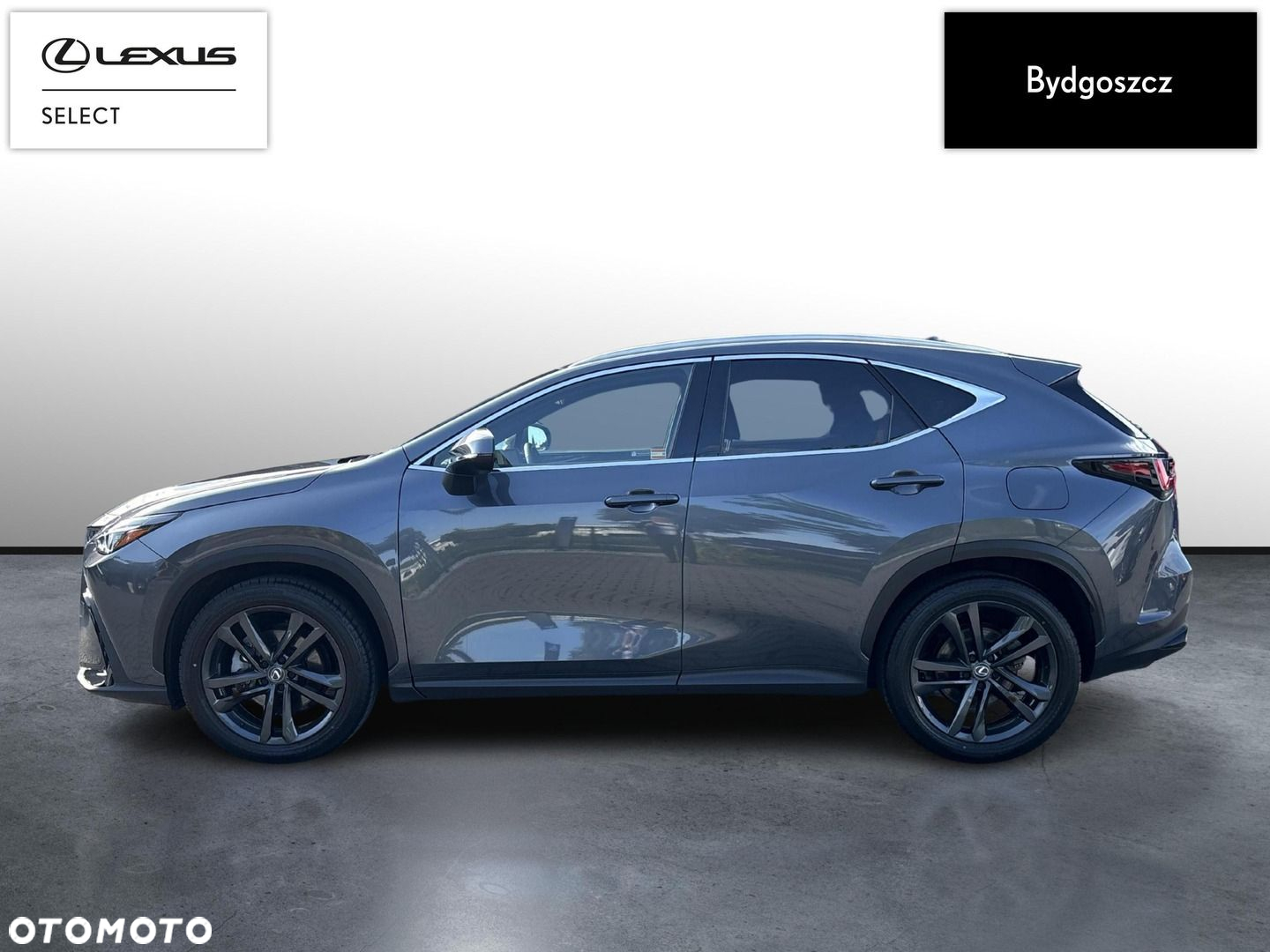 Lexus NX - 6