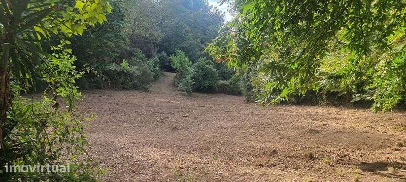 Terreno agricola com potencial para outro aproveitamento. - Grande imagem: 4/7