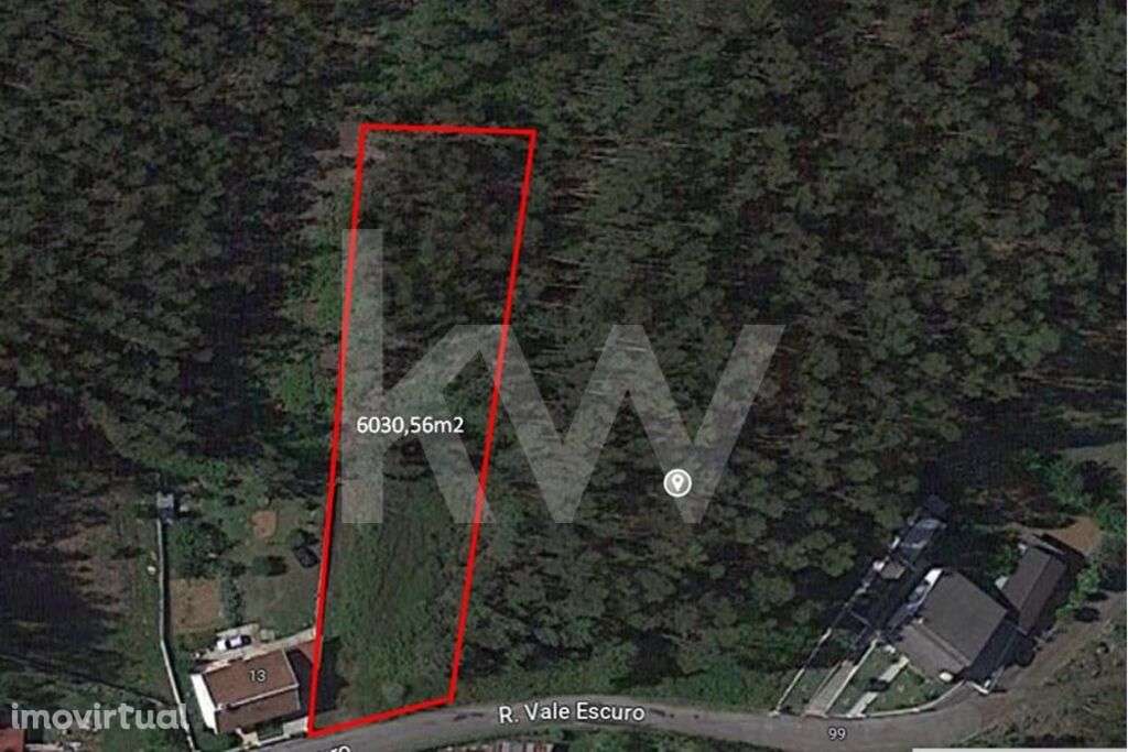 Terreno Rústico na freguesia de Canedo, lugar da Passareira - Grande imagem: 2/3