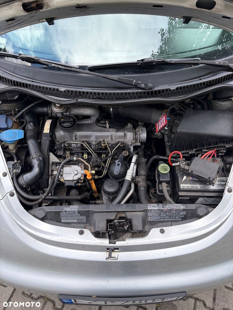 Volkswagen Beetle - 19