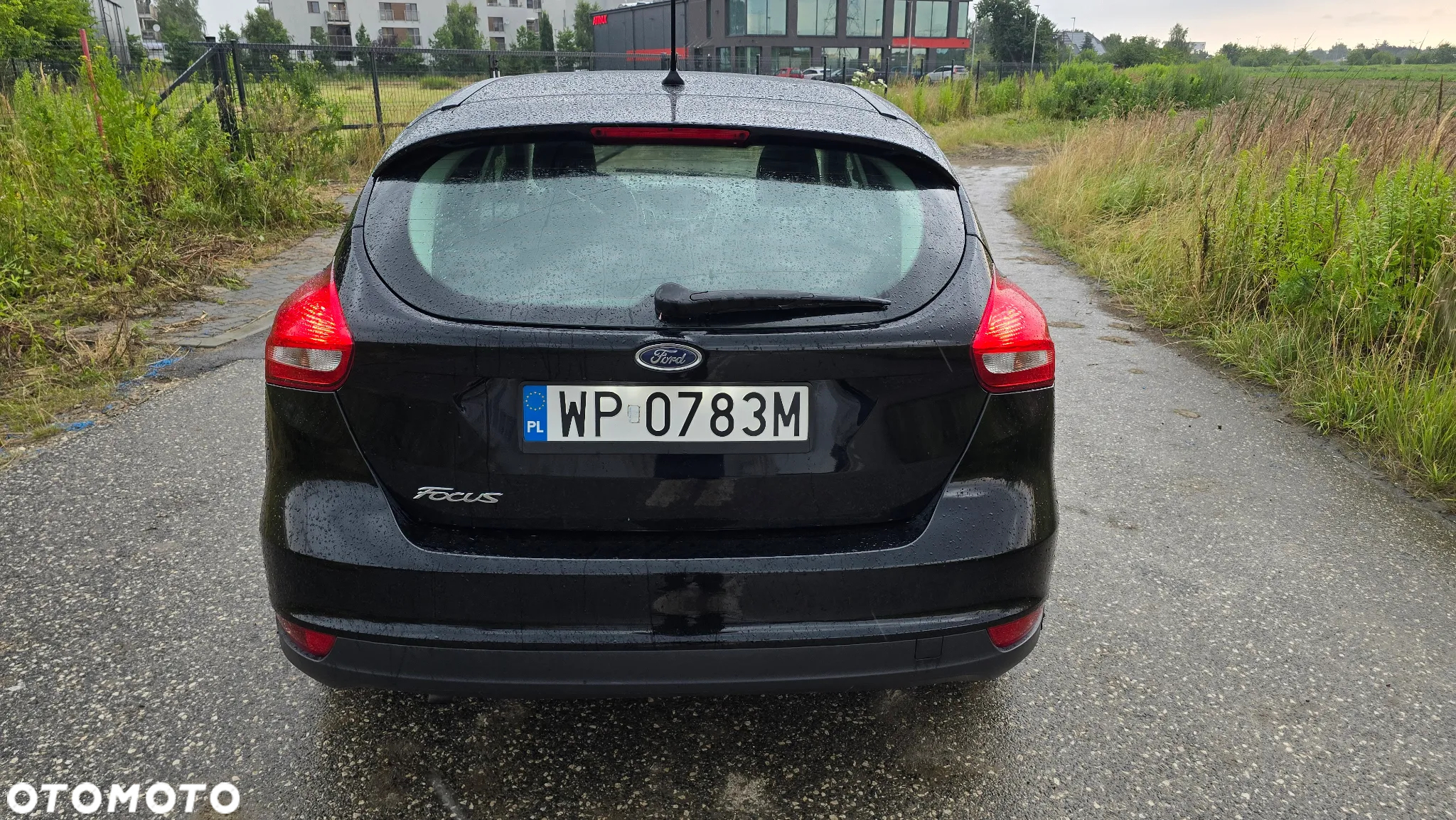 Ford Focus - 6