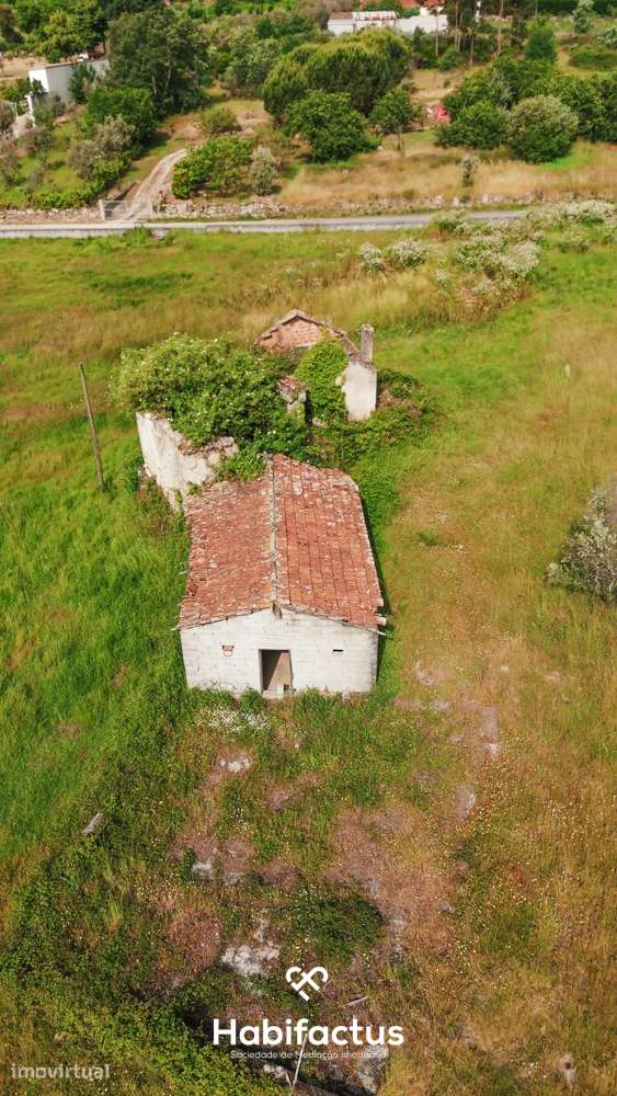 Quinta  para venda com 16.500 m² no centro de Mangualde – Oportunidade - Grande imagem: 5/14