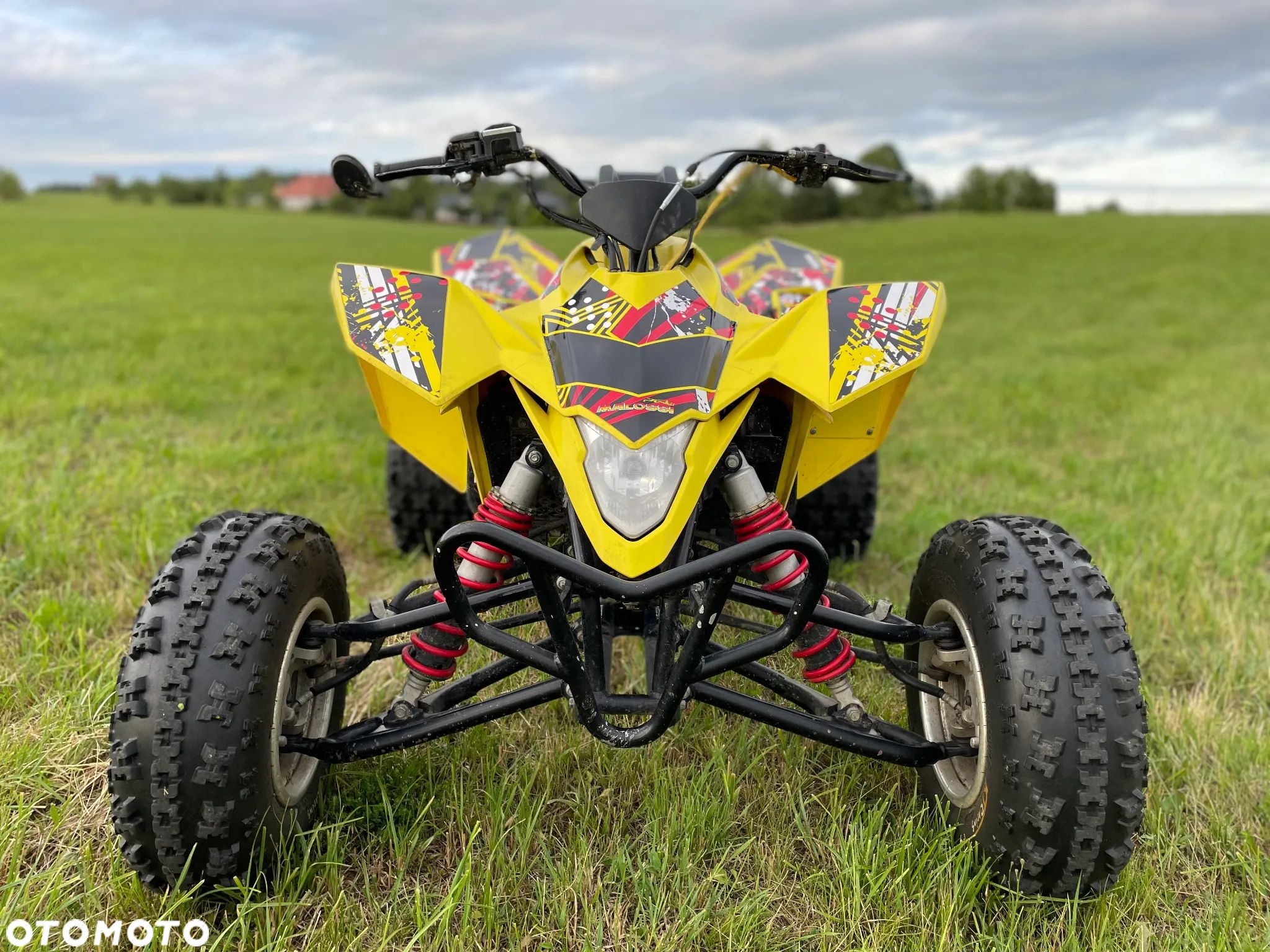 Suzuki Inny