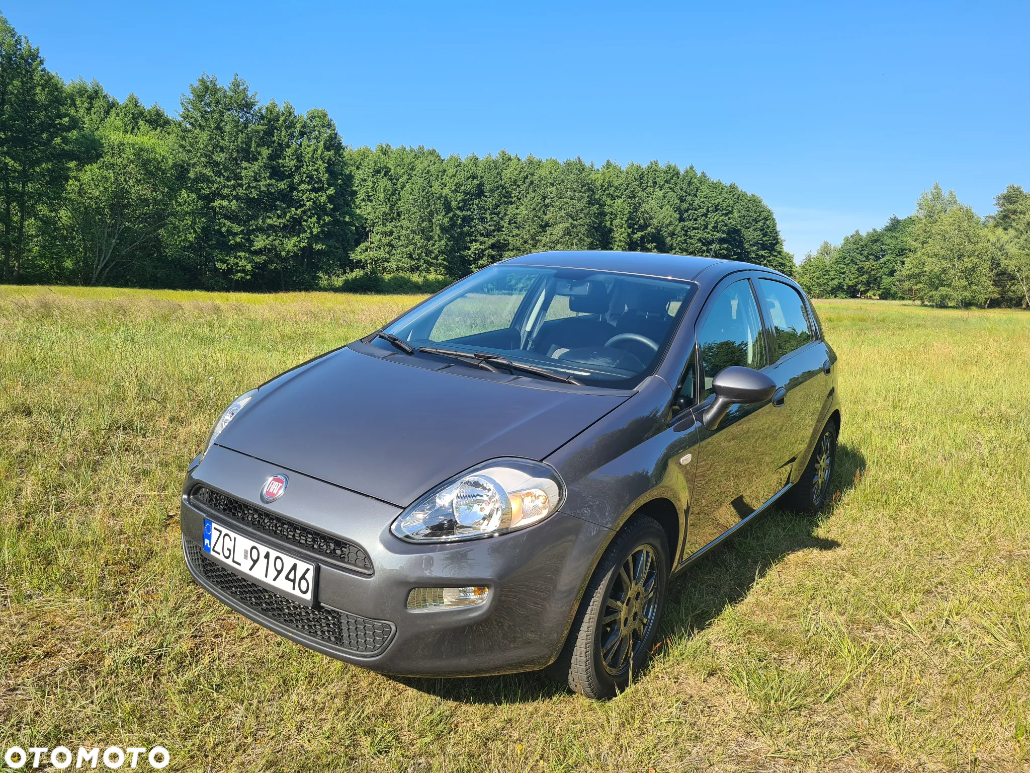 Fiat Punto - 20