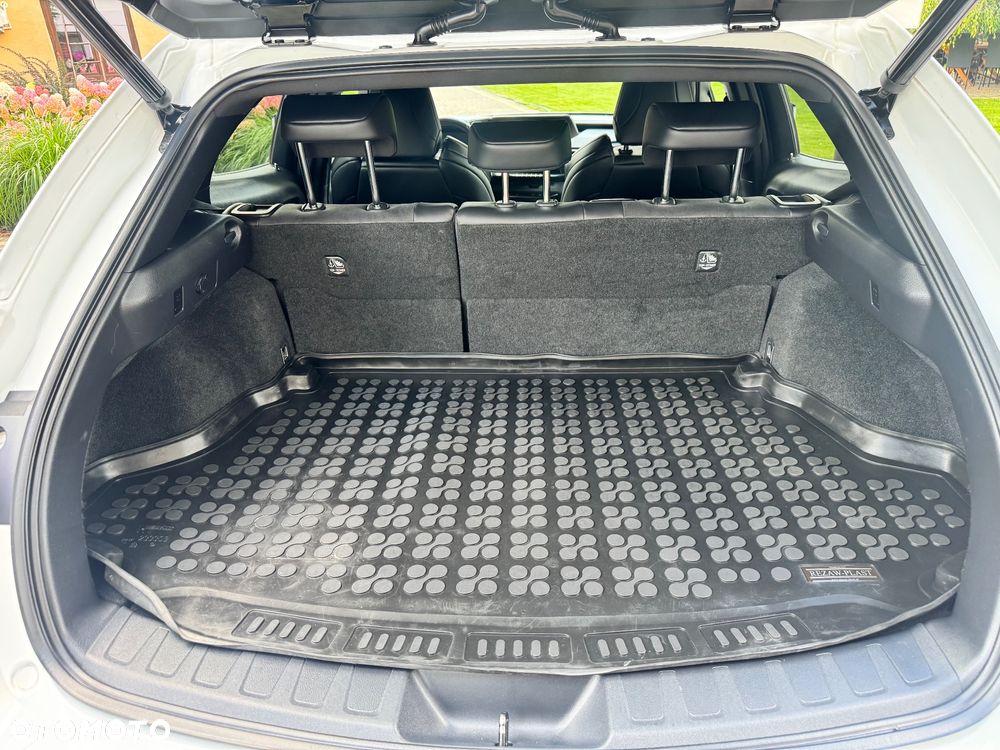 Lexus UX 250h F Sport 2WD - 14