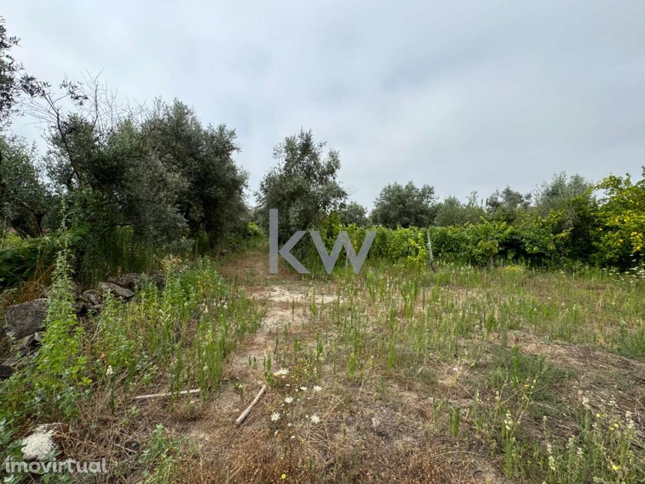 Terreno rústico para venda em Casal Jusão, Silgueiros  com 1055m2 - Grande imagem: 5/9