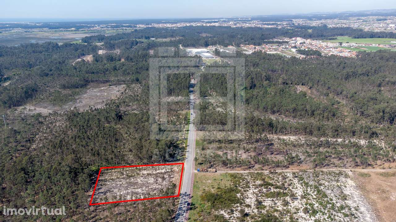 Terreno rústico com 3.810 m2 em Válega - Grande imagem: 3/18