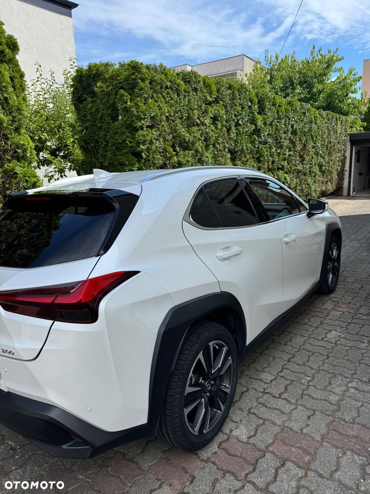 Lexus UX 200 GPF Business 2WD - 10