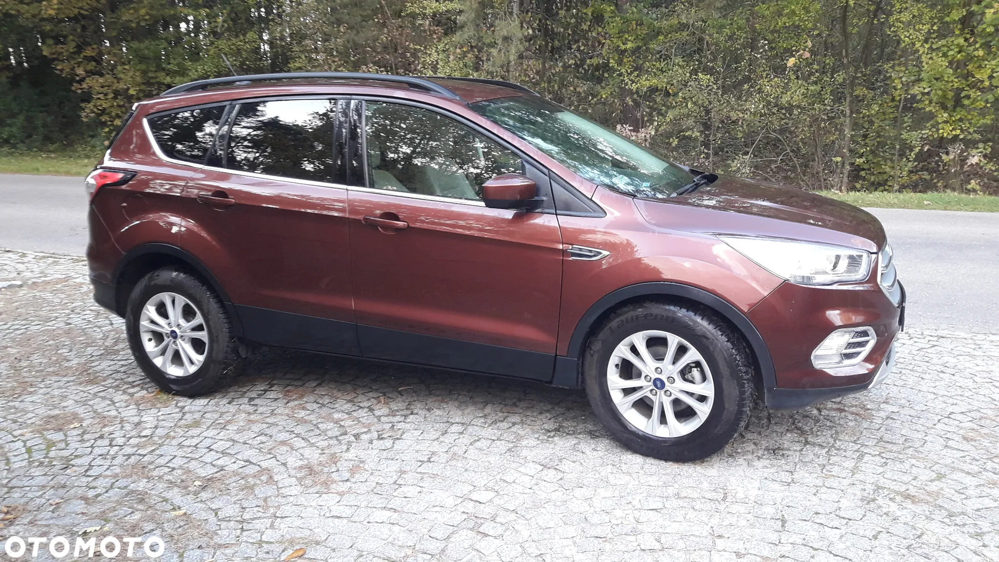 Ford Escape 1.5 EcoBoost AWD SE - 17