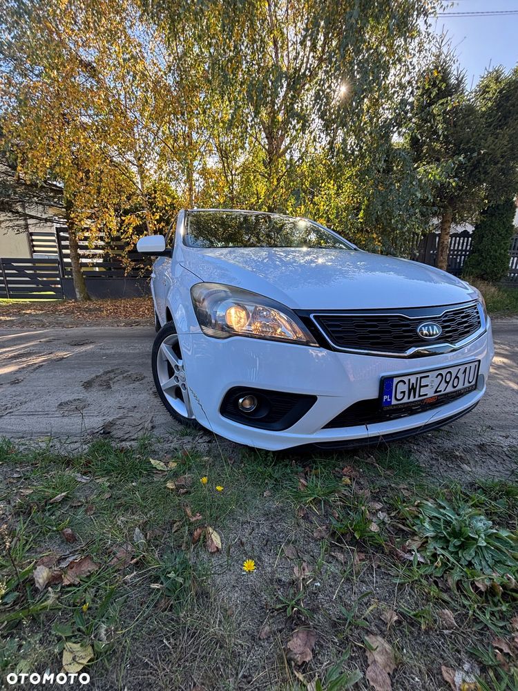 Kia Ceed - 1