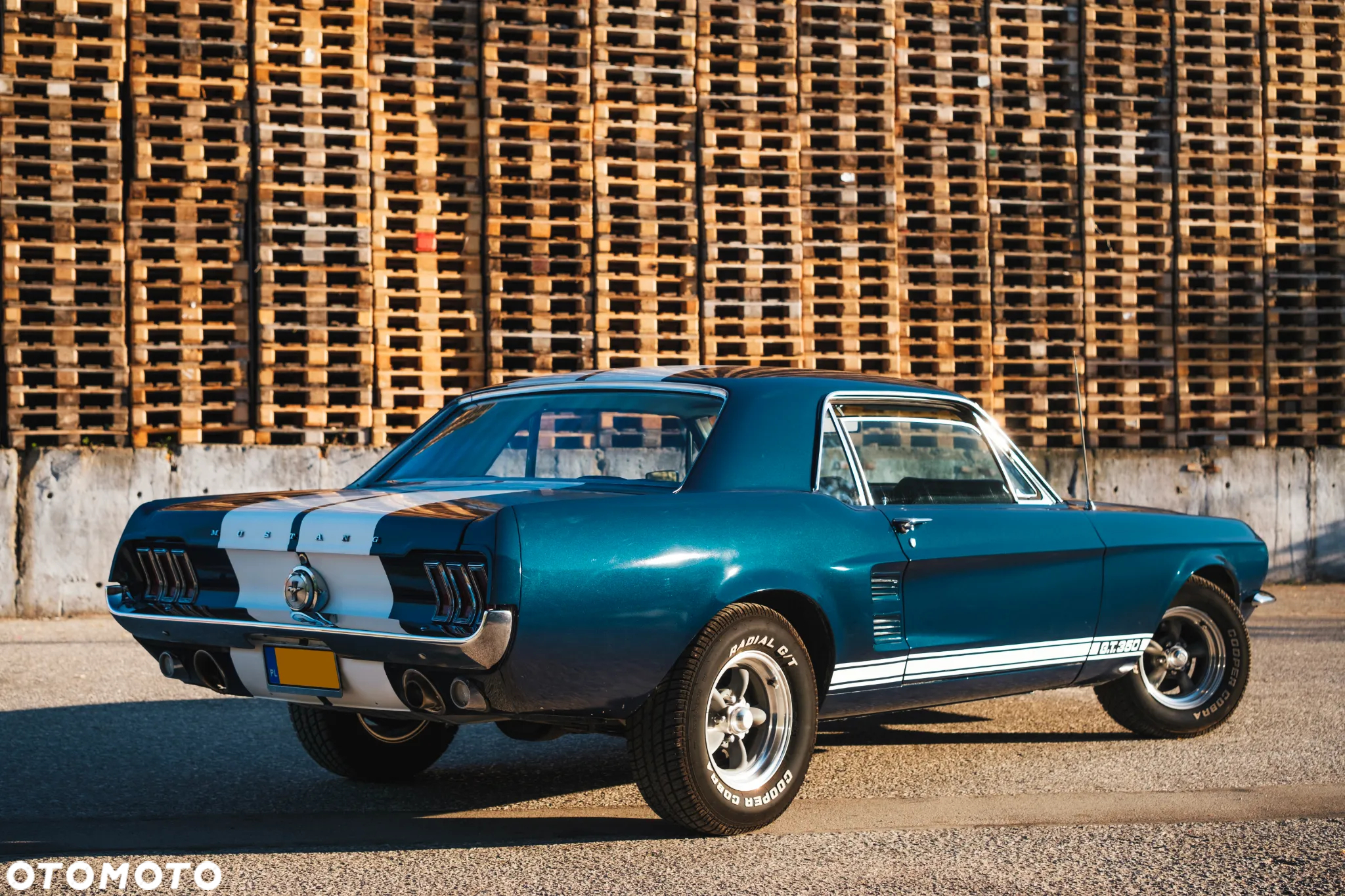 Ford Mustang - 7