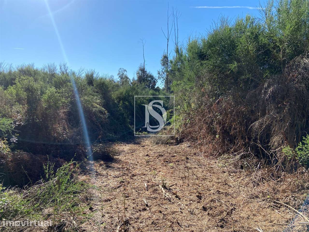 Terreno  Venda em Tonda,Tondela - Grande imagem: 5/17