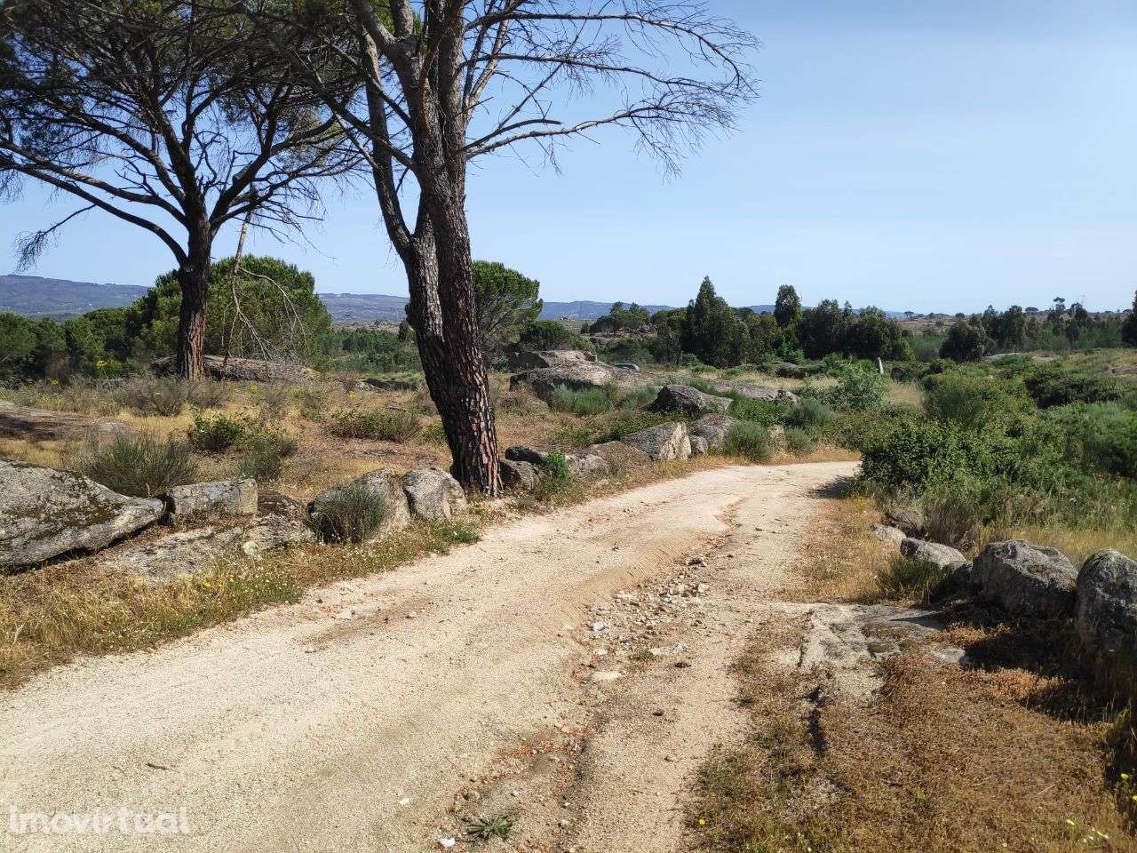 Fantástica Quinta com 3 Hectares - Grande imagem: 4/24