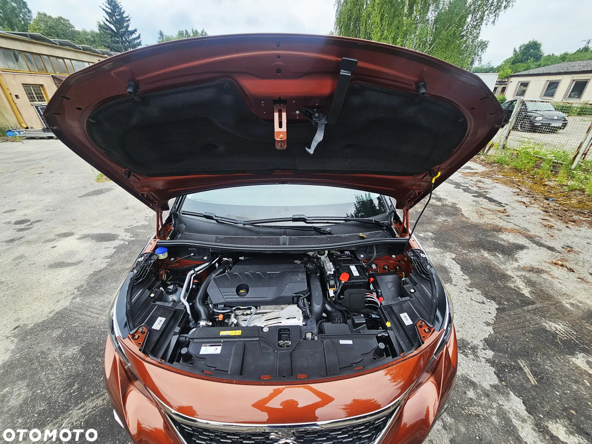 Peugeot 3008 1.6 PureTech GPF Crossway S&S EAT8 - 17