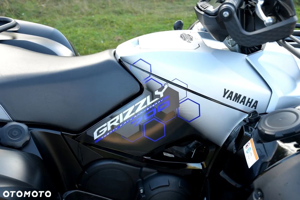 Yamaha Grizzly - 19