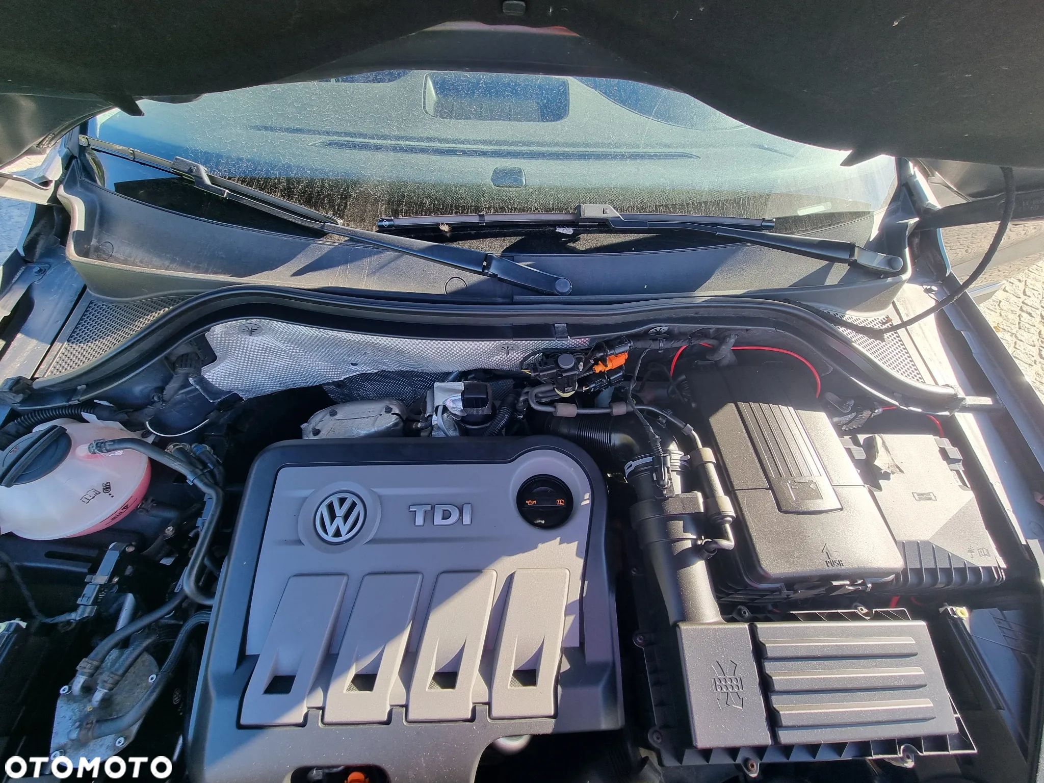 Volkswagen Tiguan 2.0 TDI 4Mot Sport DSG - 24