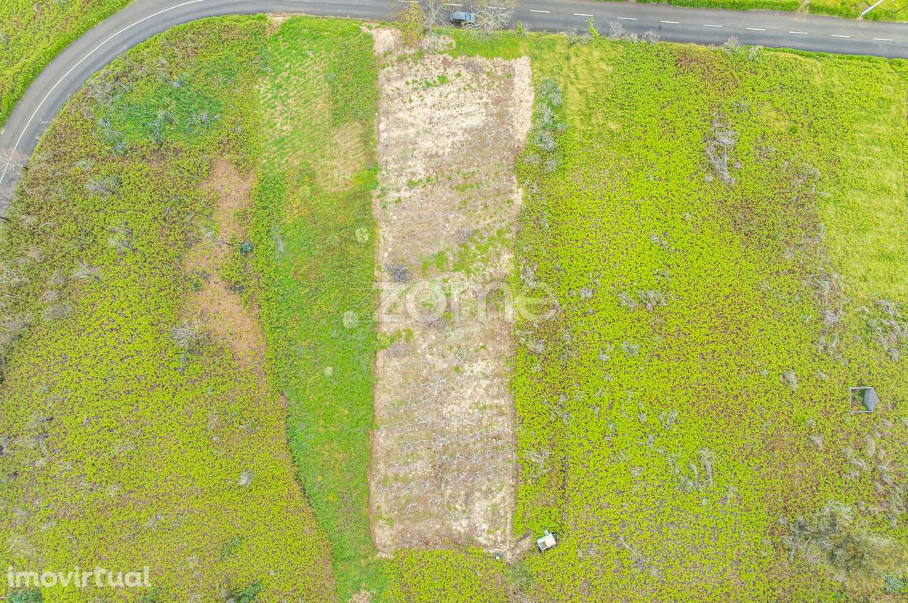 Terreno Rústico plano em Fajã da Ovelha, Calheta - Grande imagem: 2/18