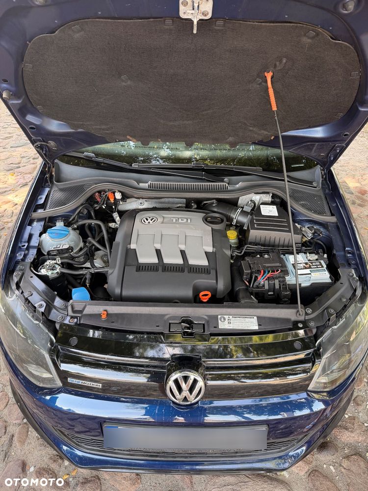 Volkswagen Polo 1.2 TDI Blue Motion 89g - 37