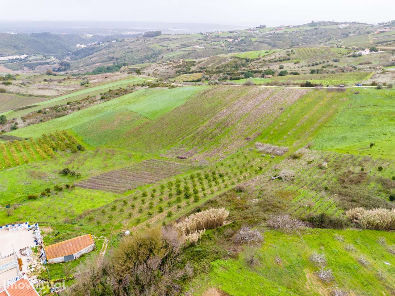 TERRENO RÚSTICO | 6.640M2 | QUINTA DO PIPALETE | ALENQUER - Grande imagem: 5/39