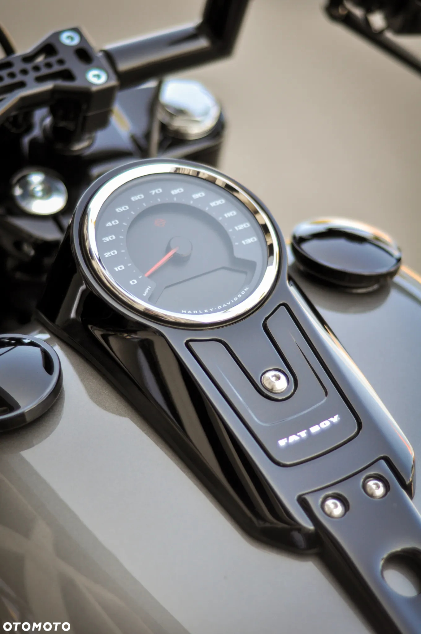 Harley-Davidson Softail Fat Boy - 19
