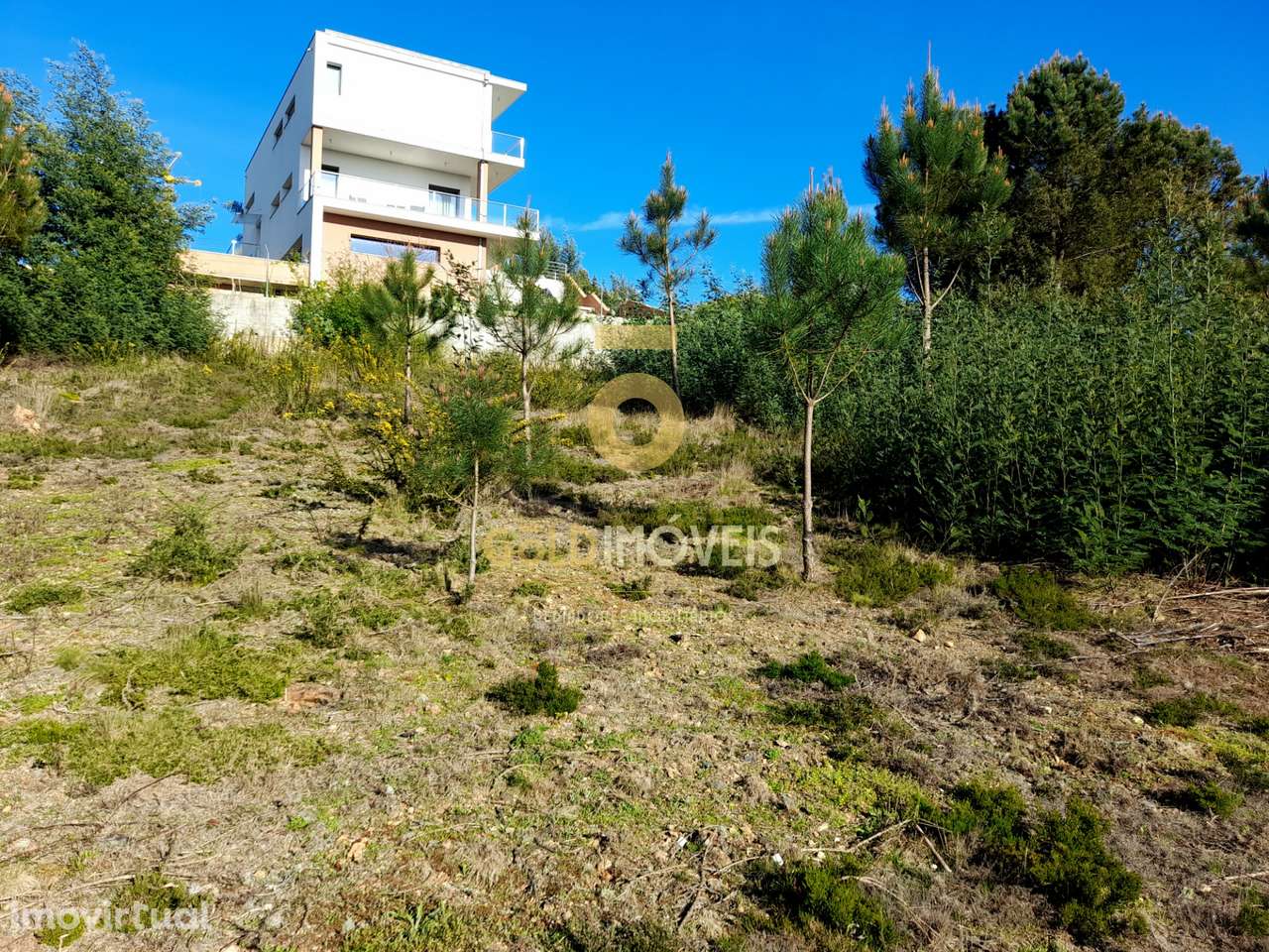 Lote de Terreno  Venda em Nogueira do Cravo e Pindelo,Oliveira de Azem - Grande imagem: 3/10