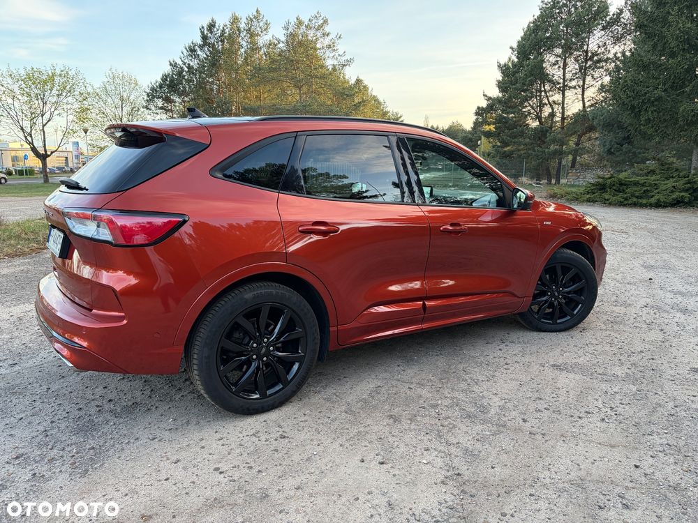 Ford Kuga 2.0 EcoBlue 4x4 ST-LINE - 5