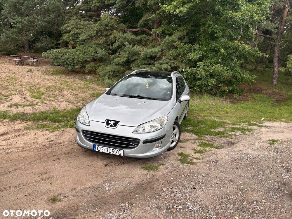Peugeot 407 1.6 HDi Premium - 2