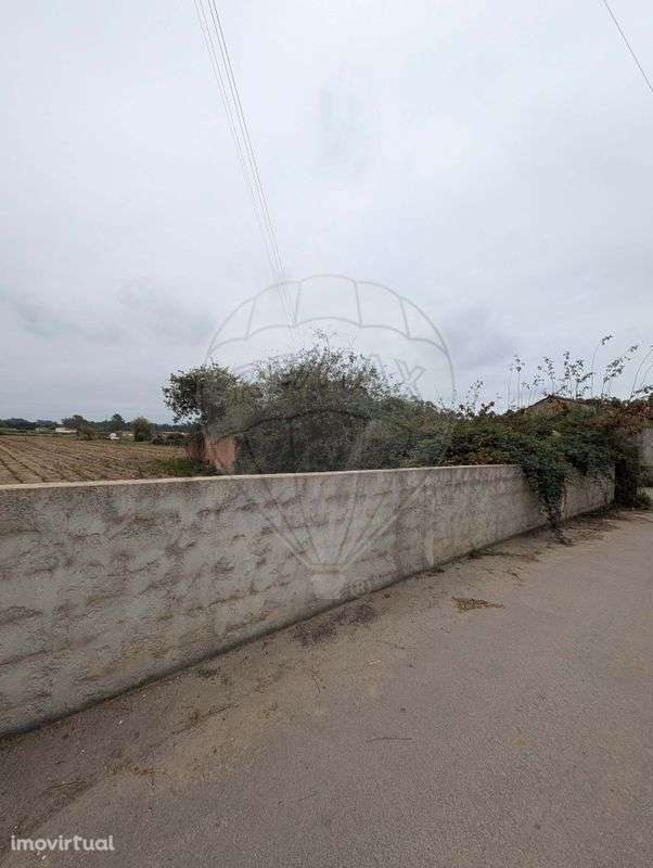 Terreno  para venda - Grande imagem: 2/7