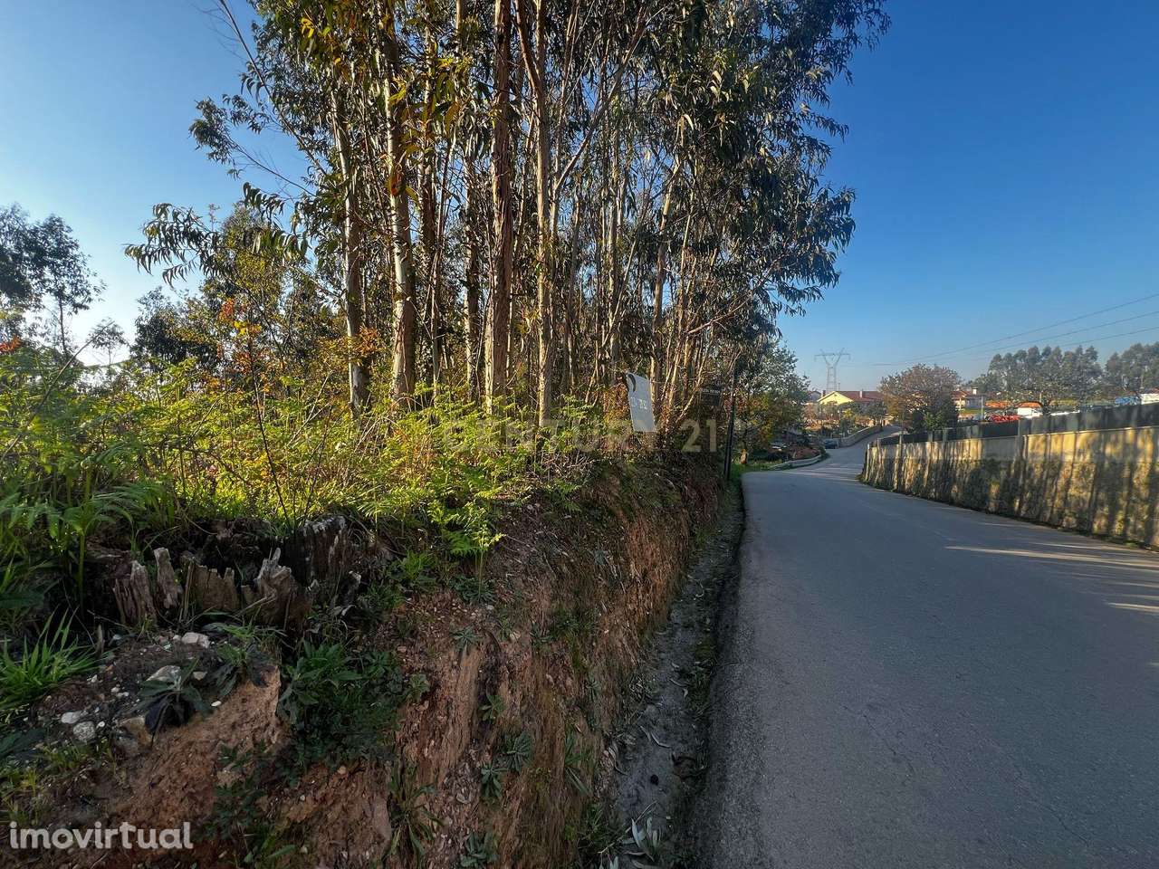 Terreno Urbanizável em Cristelo - Branca (Albergaria-a-Velha) - Grande imagem: 5/12