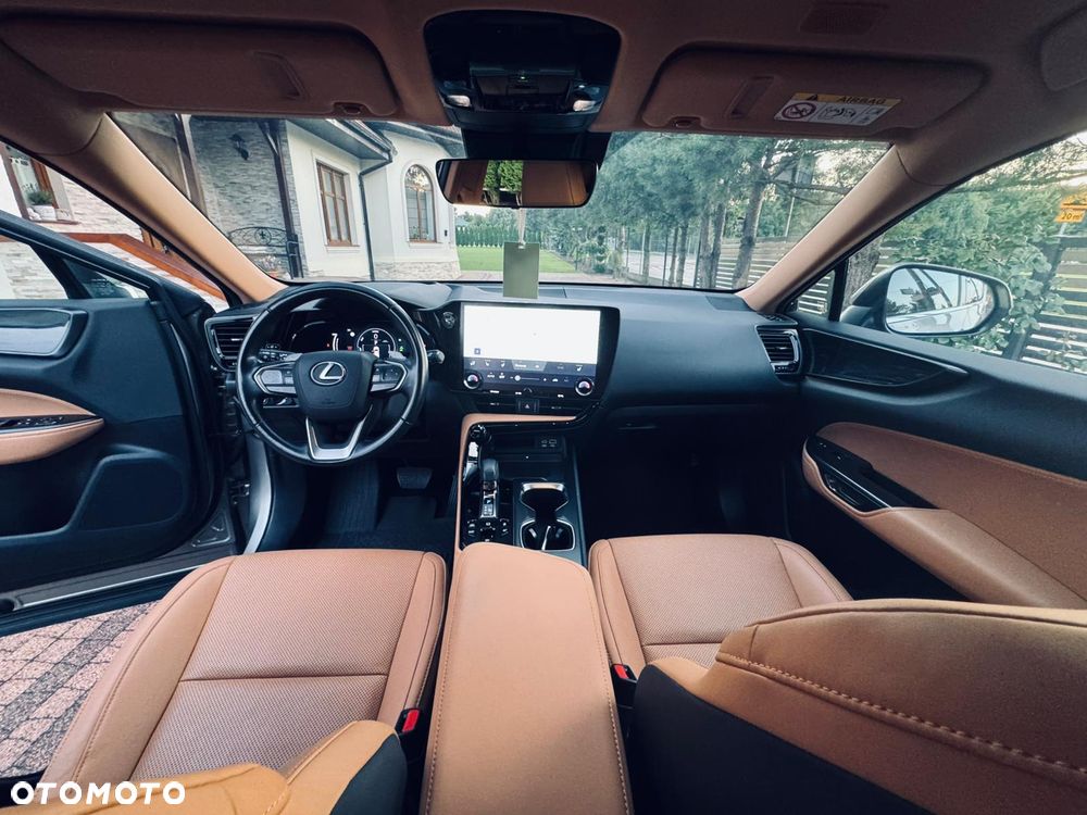 Lexus NX - 20