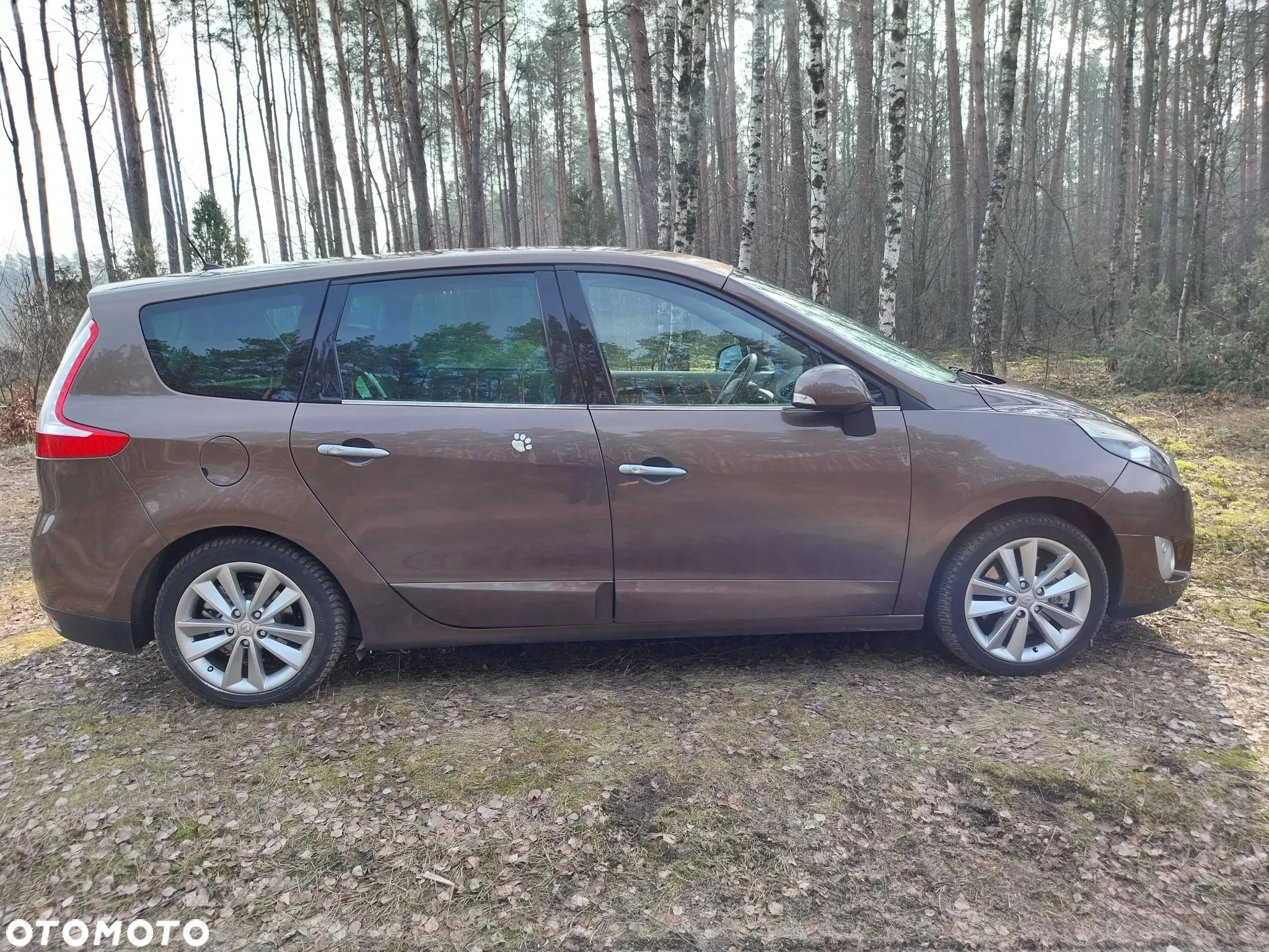 Renault Scenic - 8