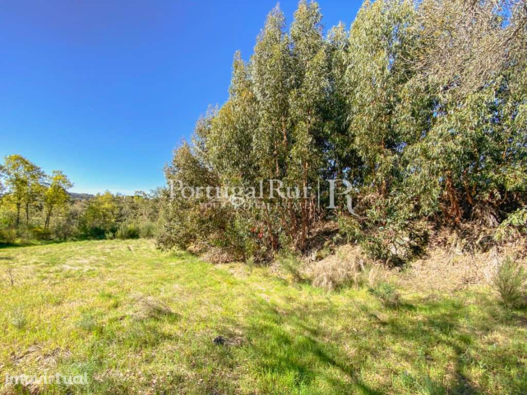 Terreno rústico com 22.760 m² em Monsanto - Grande imagem: 5/6