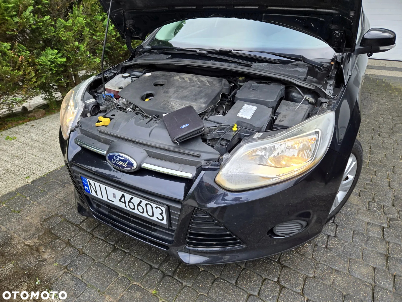 Ford Focus 1.6 TDCi Gold X (Trend) - 11