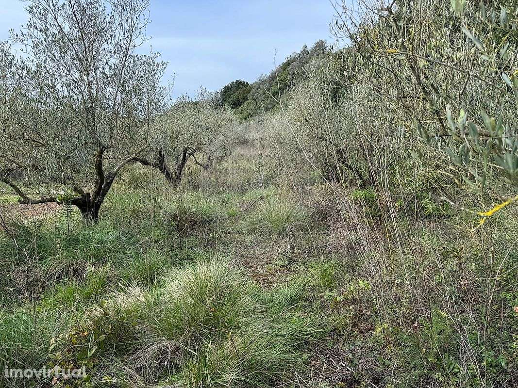 Terreno  para venda - Grande imagem: 4/5