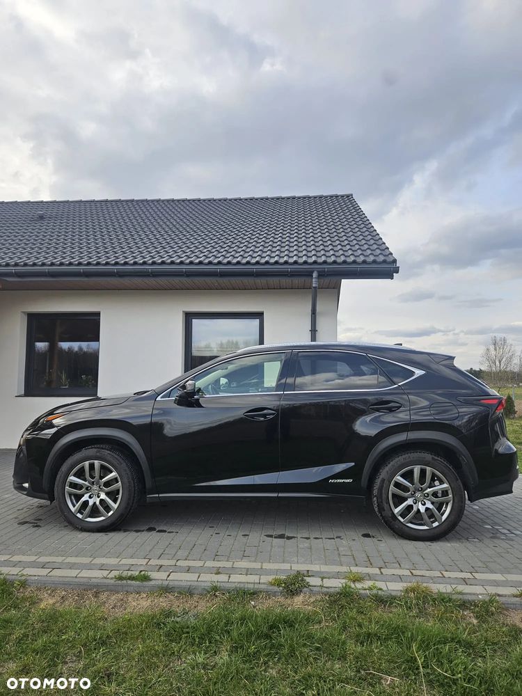 Lexus NX - 8