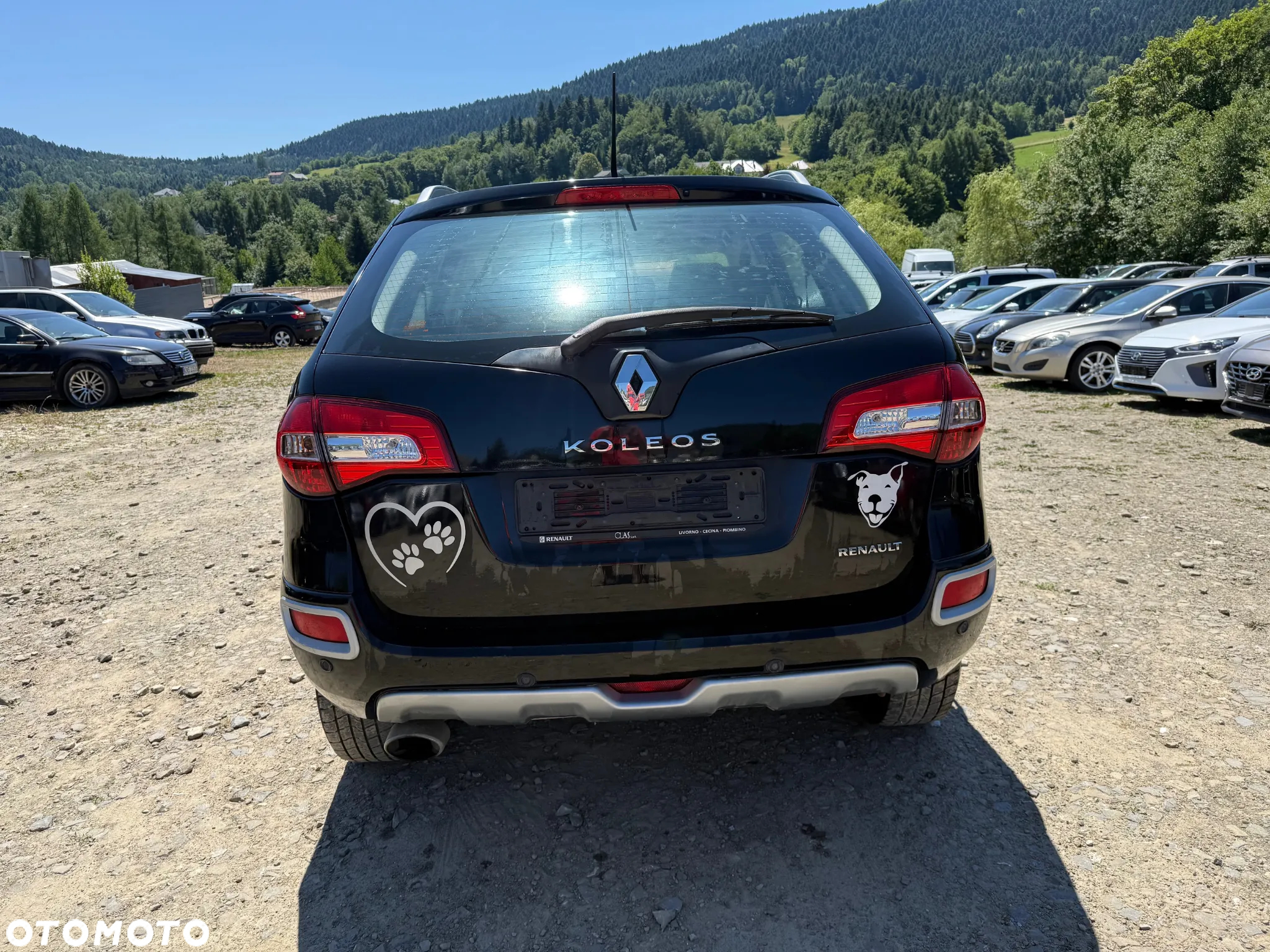 Renault Koleos 2.0 dCi 4x4 Dynamique - 6