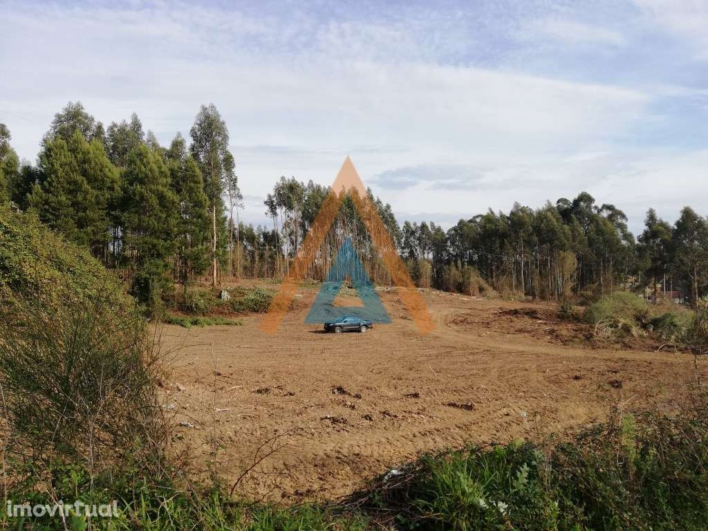 Oportunidade de Investimento - Terreno em Fornos, Feira - Grande imagem: 2/17