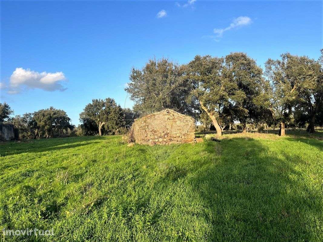 Quinta T4 para venda - Grande imagem: 3/8