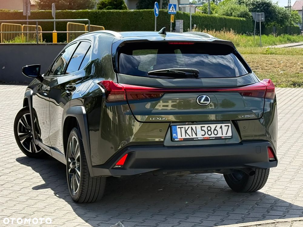 Lexus UX 250h F Sport 2WD - 8