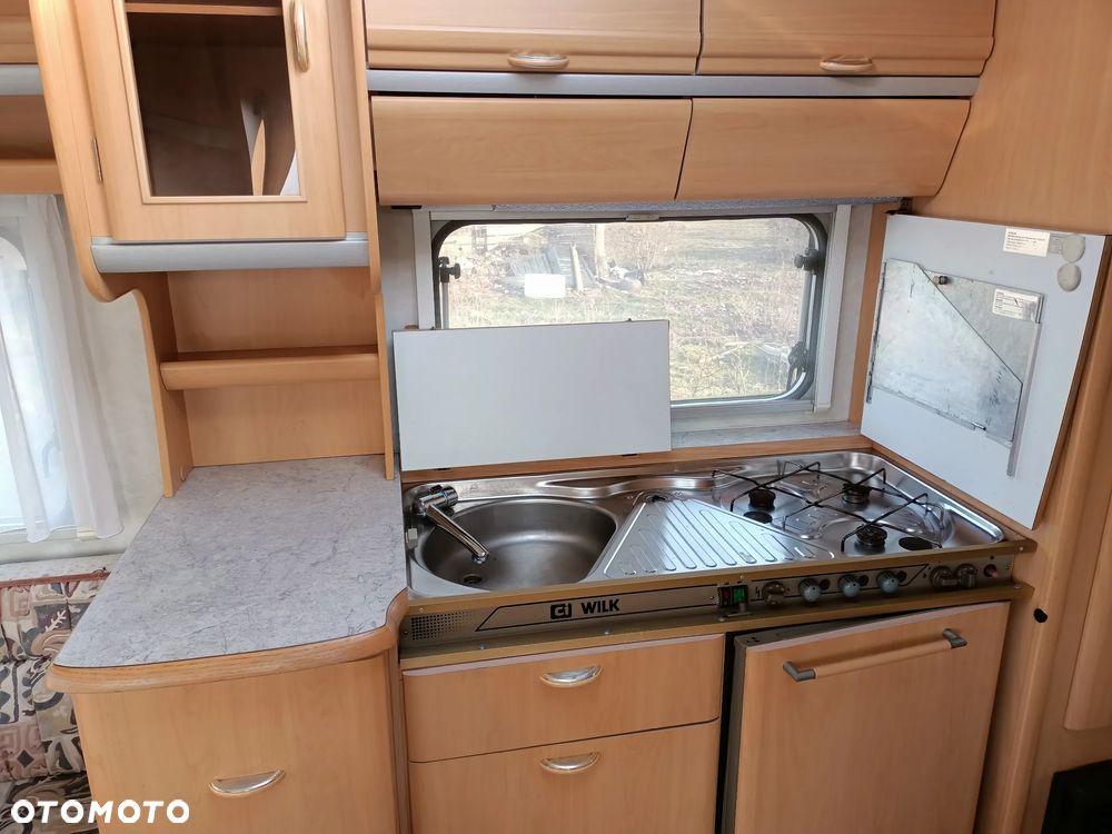Wilk stern 470 - 17