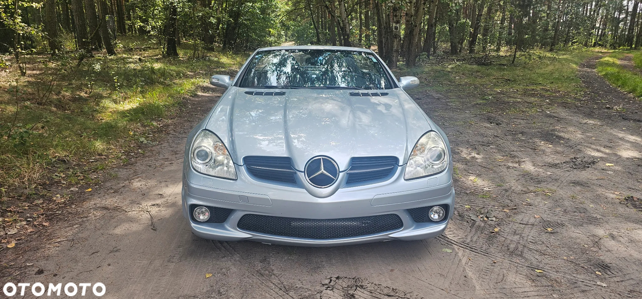 Mercedes-Benz SLK 55 AMG 7G-TRONIC - 3