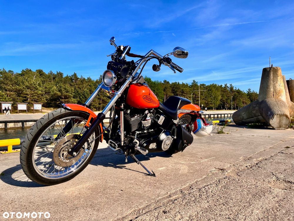 Harley-Davidson Softail Standard - 18