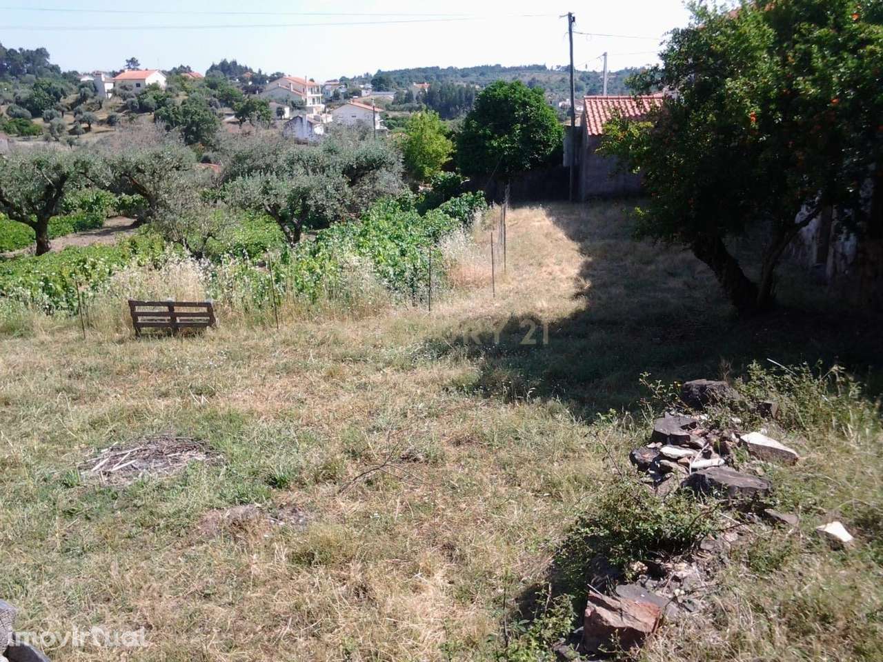 Ruína com Potencial em Sardoal, Santarém - Grande imagem: 3/16