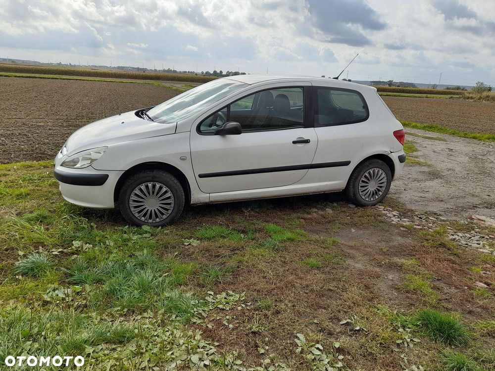 Peugeot 307 2004 photo 2