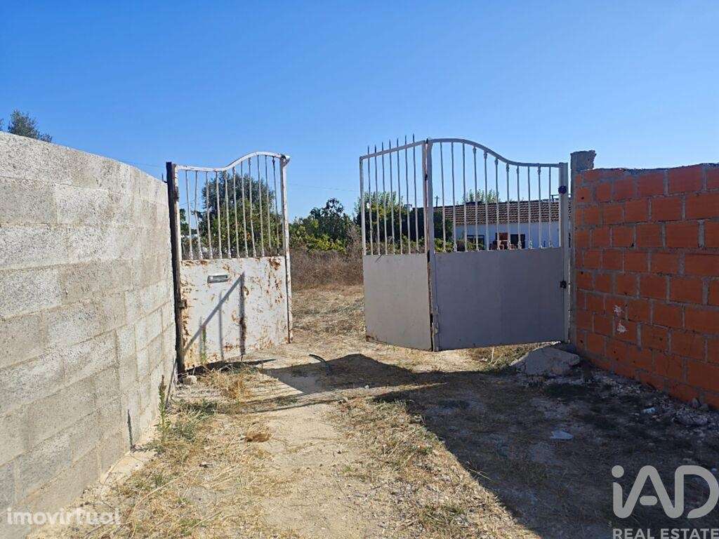 Terreno para construção em Coruche, Fajarda e Erra de 2204,00 m2 - Grande imagem: 3/11