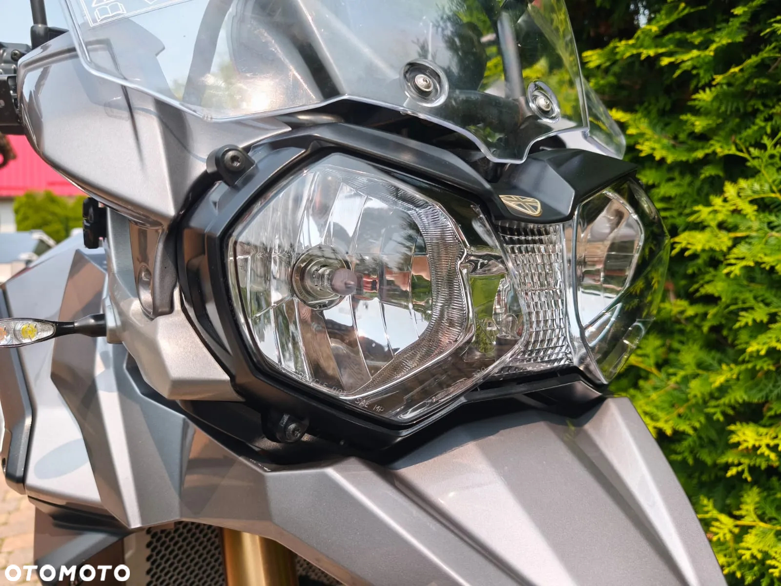 Triumph Tiger - 19