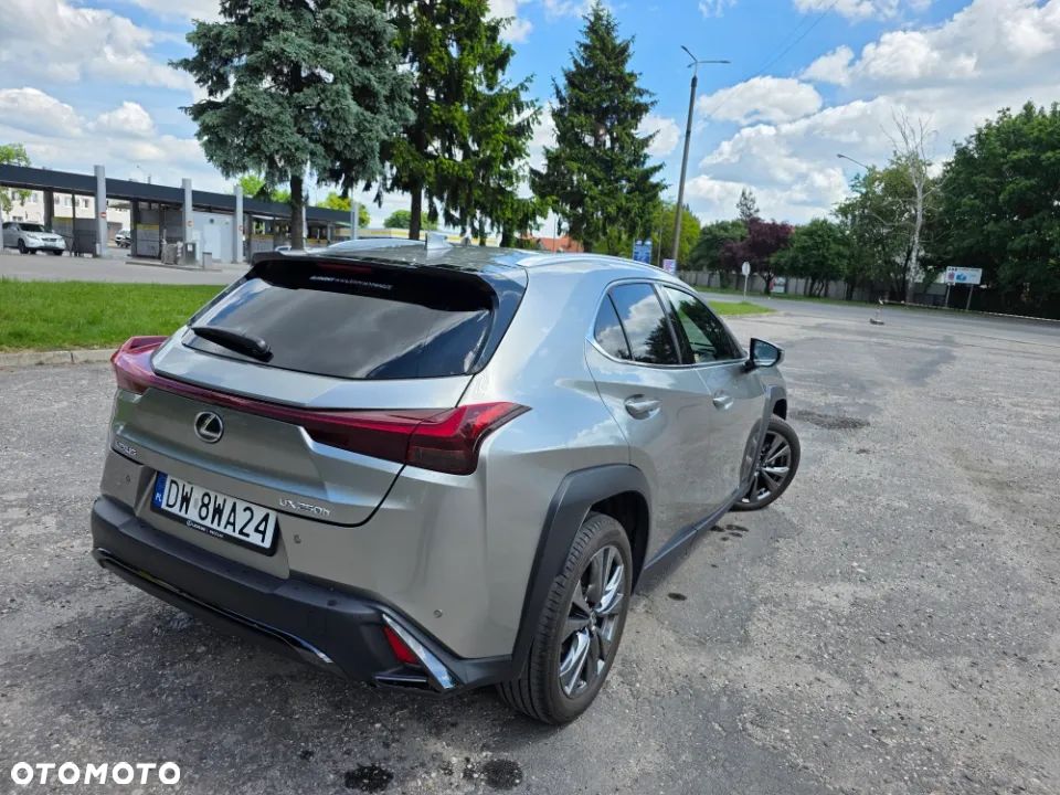 Lexus UX 250h GPF F Sport Design+ 2WD - 6