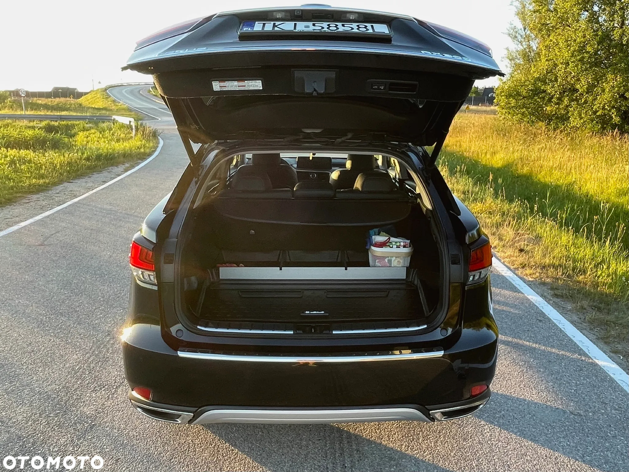 Lexus RX 300 Business Edition + - 14