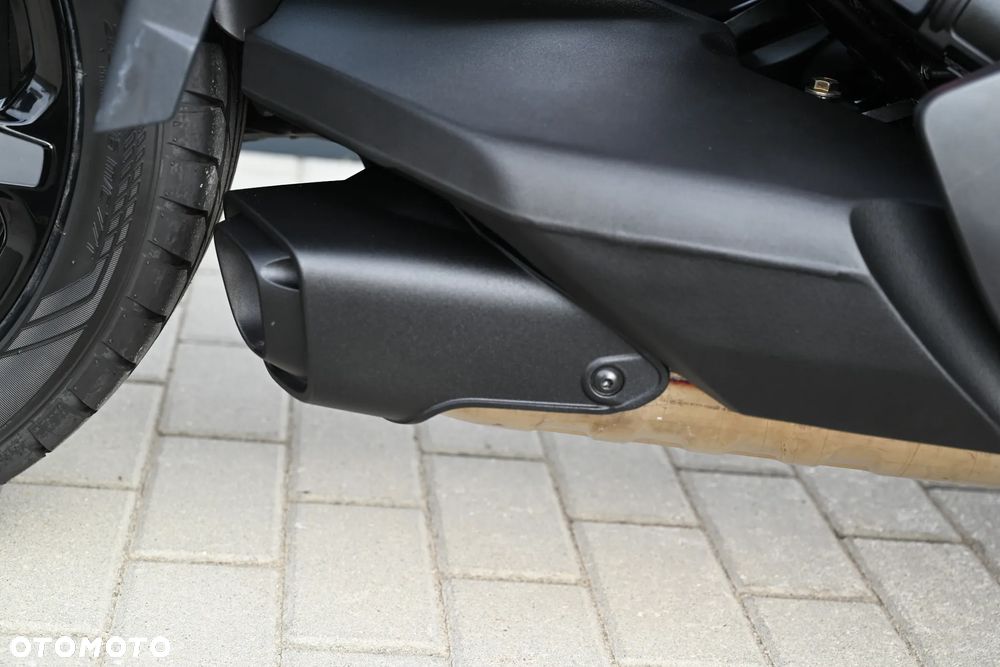 Can-Am Ryker - 25